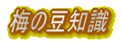 梅の豆知識